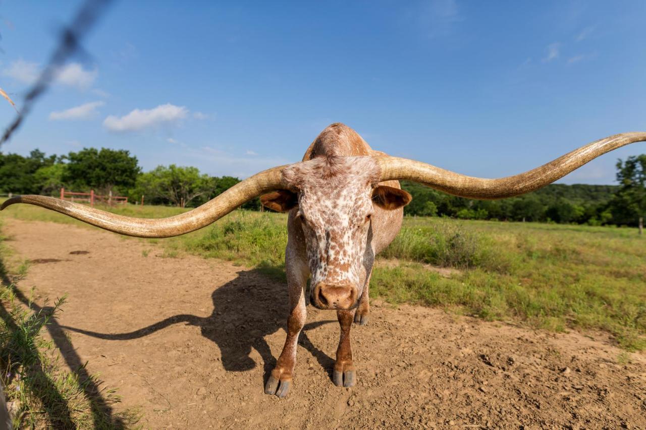 Wildcatter Ranch And Resort Graham Exterior foto